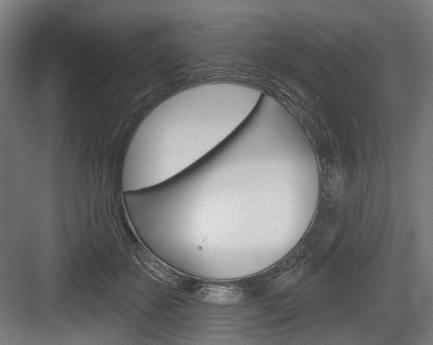 X0000083990507200702160734