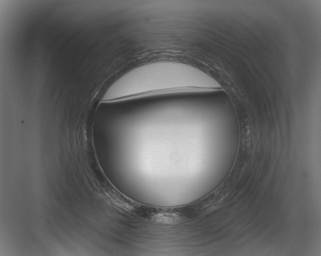 X0000083990508200702160734