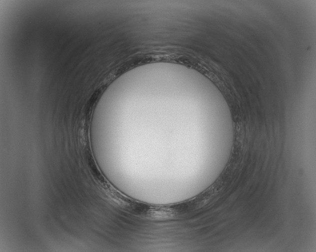 X0000083990510200702160734