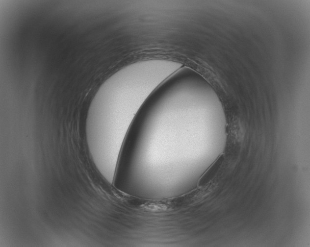 X0000083990512200702160734