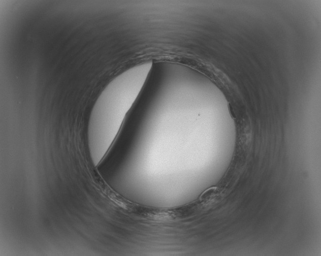 X0000083990513200702160734