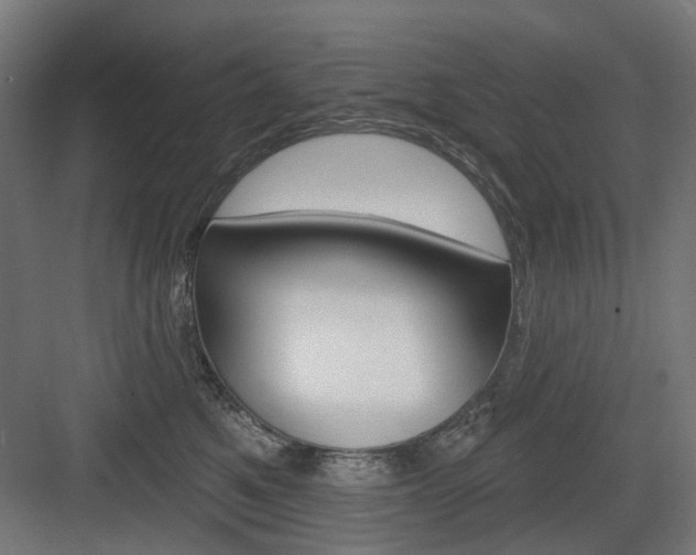 X0000083990521200702160734