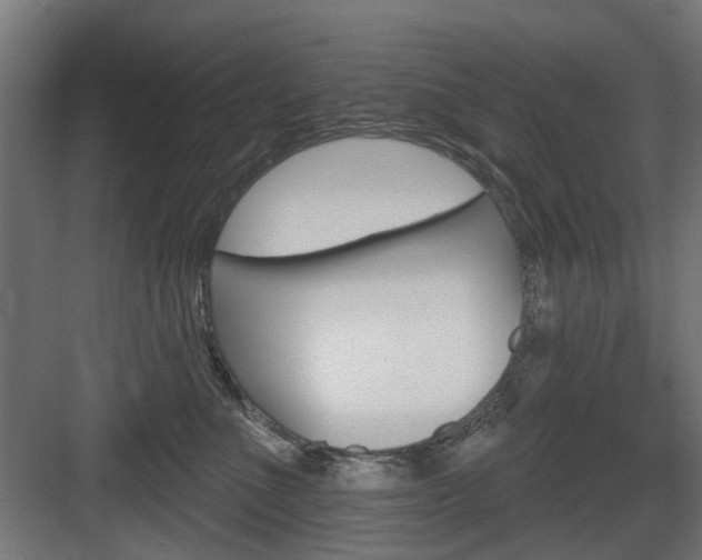 X0000083990523200702160734