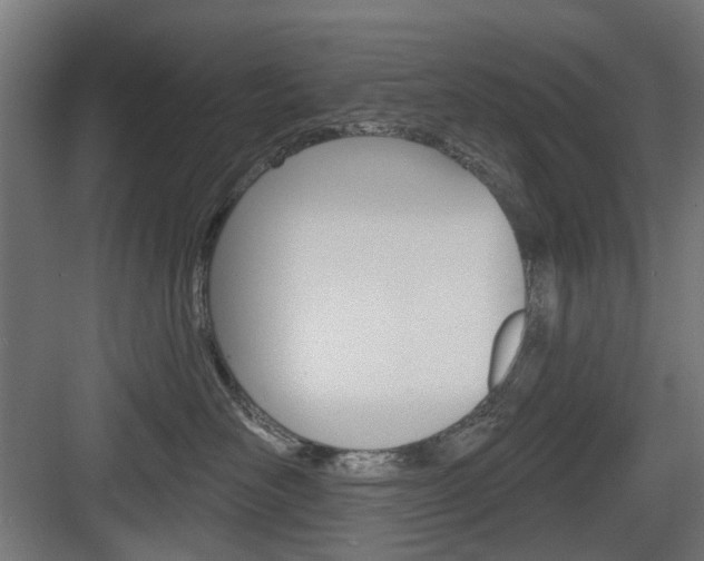 X0000083990526200702160734