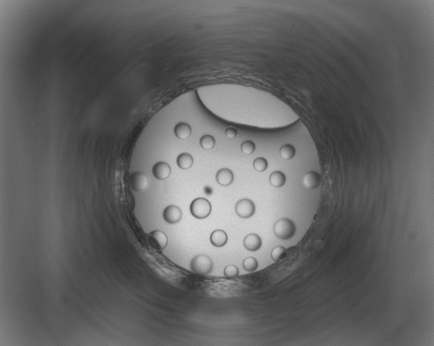 X0000083990527200702160734