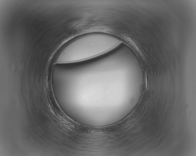 X0000083990531200702160733