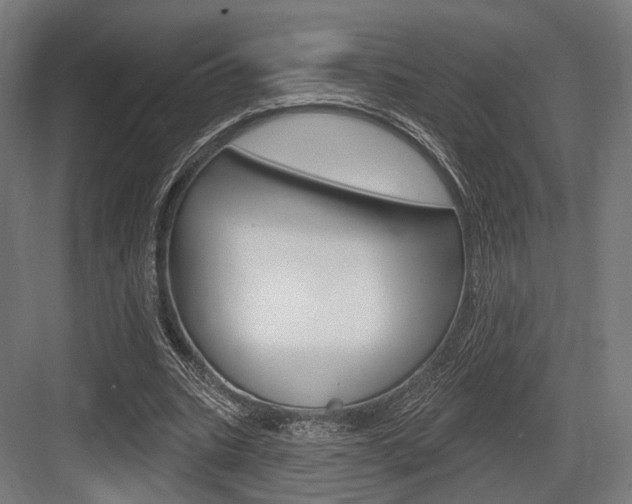 X0000083990535200702160733