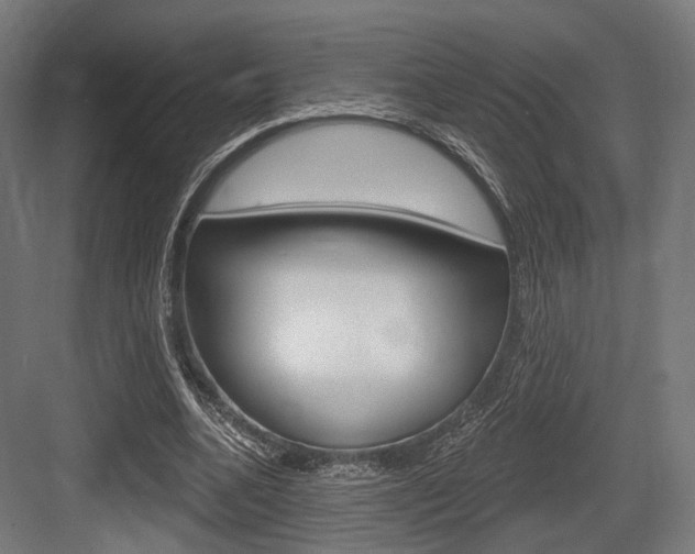 X0000083990536200702160733