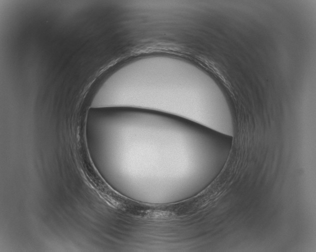 X0000083990539200702160733