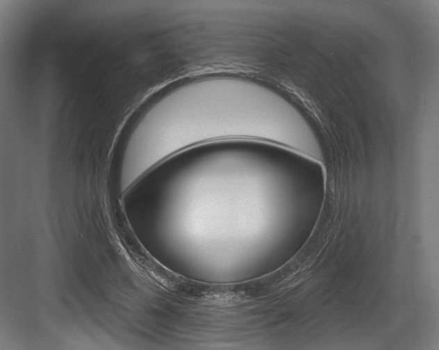 X0000083990540200702160733