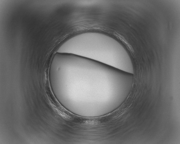 X0000083990541200702160733