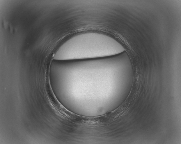 X0000083990542200702160733