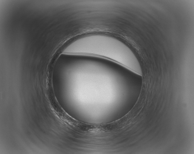 X0000083990544200702160733