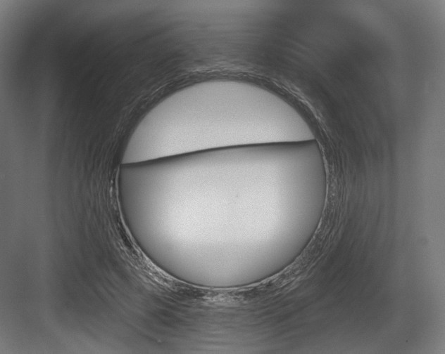 X0000083990545200702160733