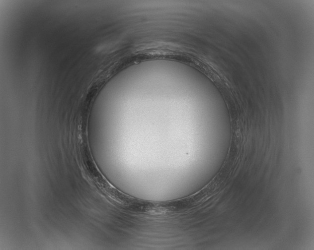 X0000083990547200702160733