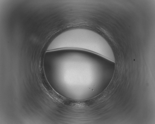 X0000083990548200702160733