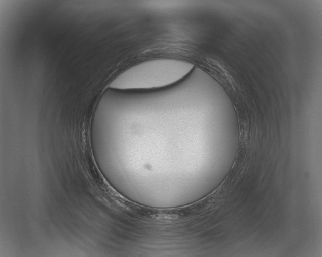X0000083990549200702160733