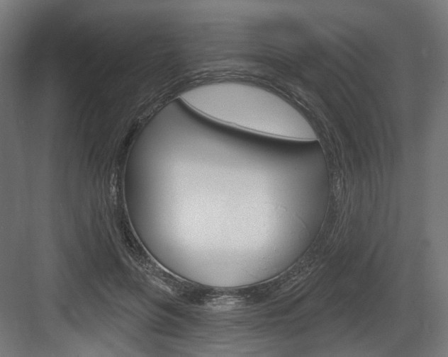 X0000083990551200702160733