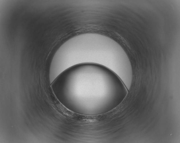 X0000083990552200702160733
