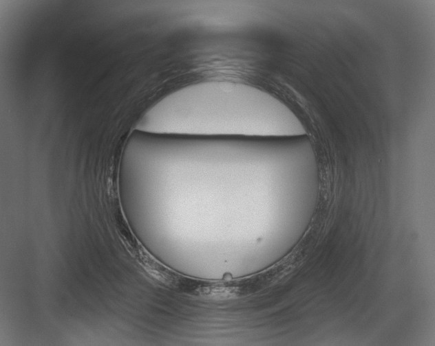 X0000083990553200702160733