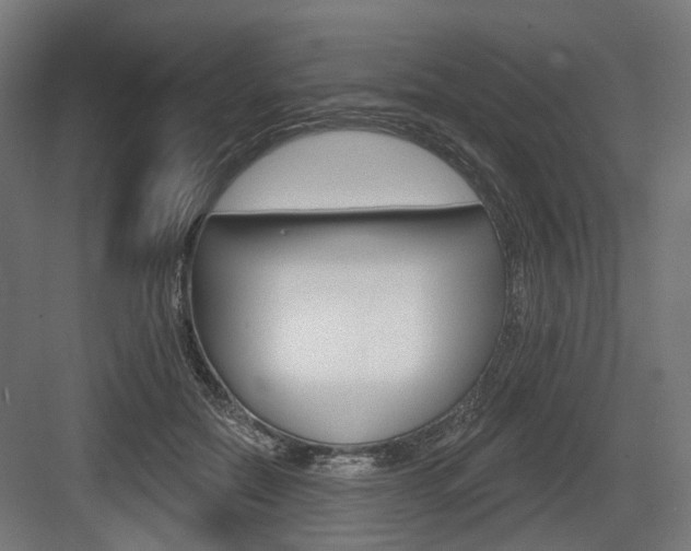 X0000083990554200702160733