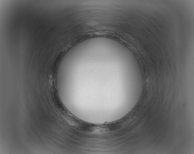 X0000083990555200702160733