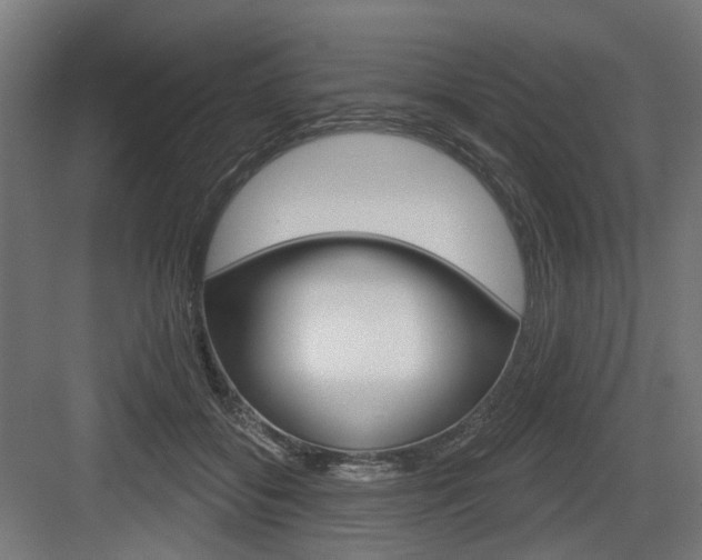 X0000083990556200702160733