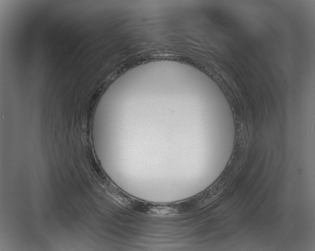 X0000083990557200702160733