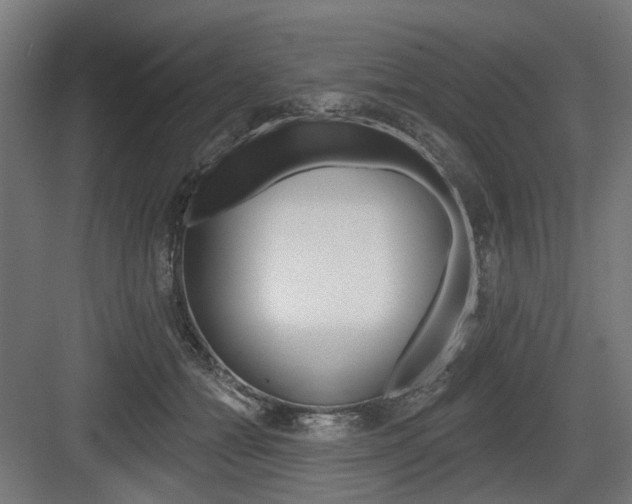 X0000083990558200702160733