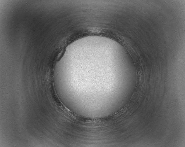 X0000083990559200702160733