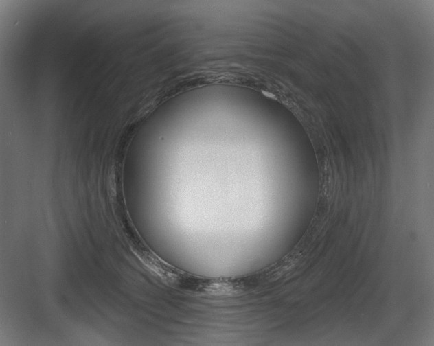X0000083990562200702160733