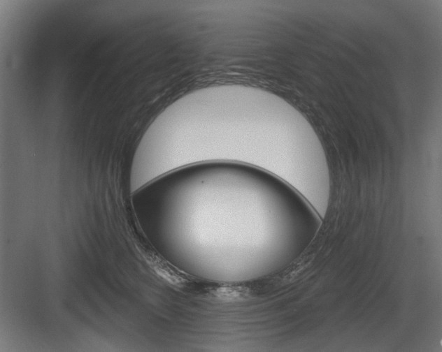 X0000083990566200702160734
