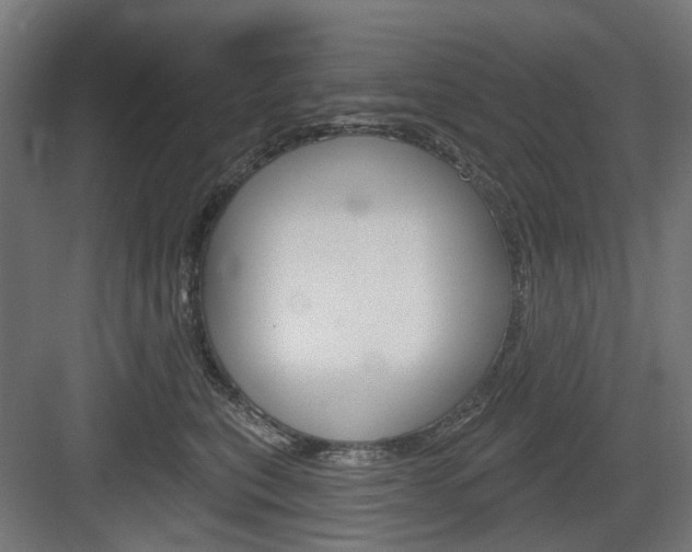 X0000083990567200702160734