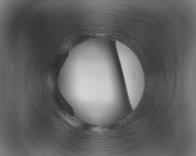 X0000083990568200702160734