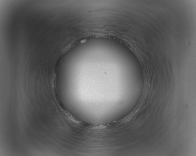 X0000083990576200702160734
