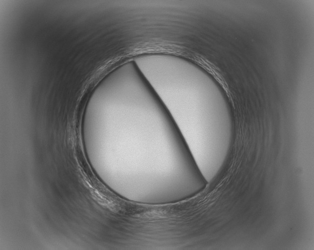 X0000083990578200702160733