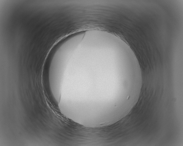 X0000083990579200702160733