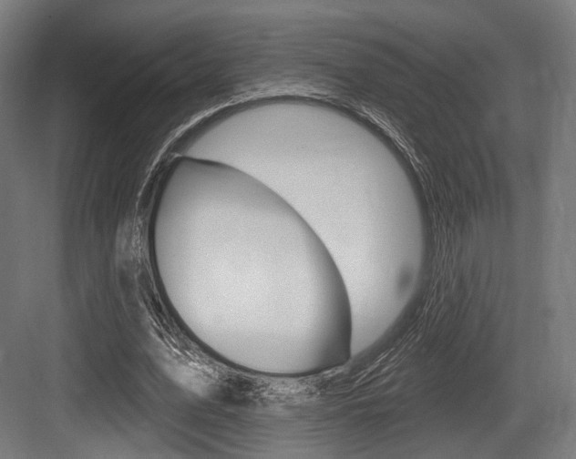 X0000083990583200702160733