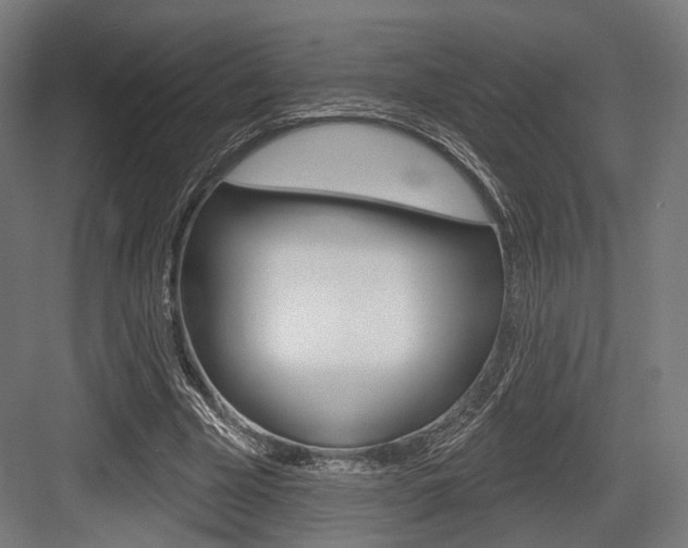 X0000083990585200702160733