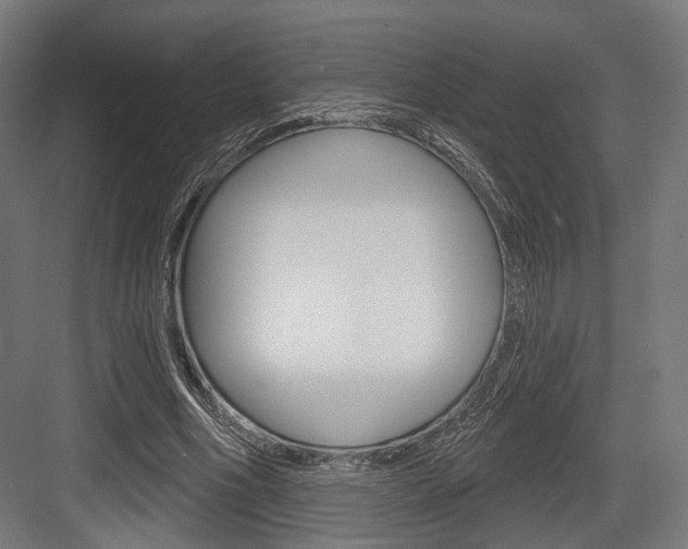 X0000083990586200702160733