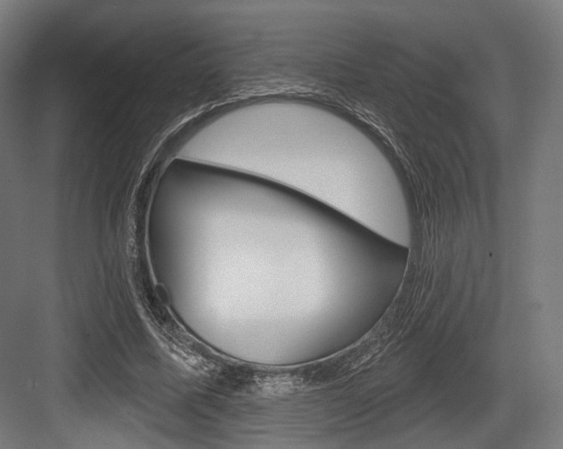 X0000083990587200702160733