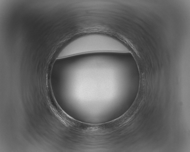 X0000083990589200702160733