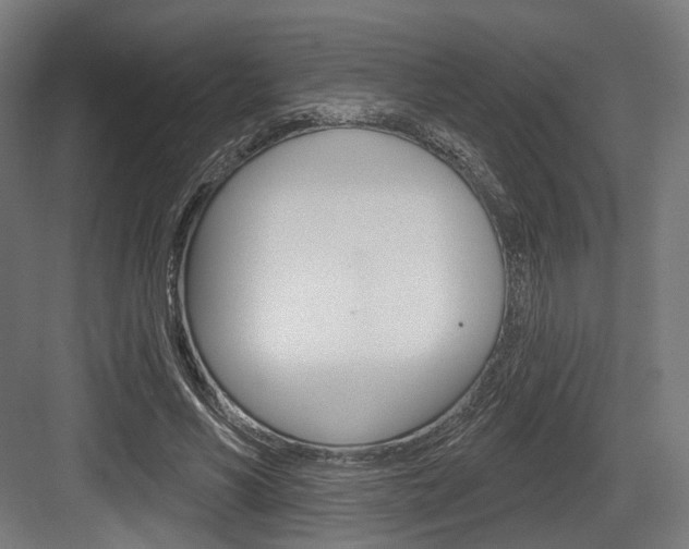 X0000083990590200702160733