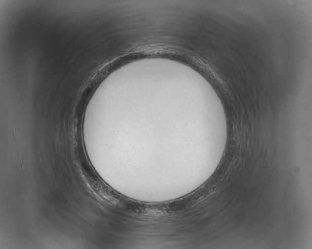 X0000083990592200702160733