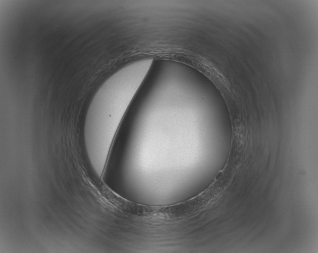 X0000083990593200702160733