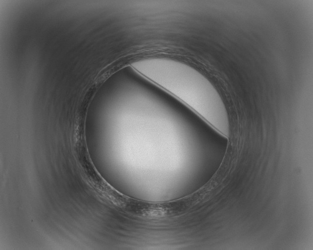 X0000083990600200702160732