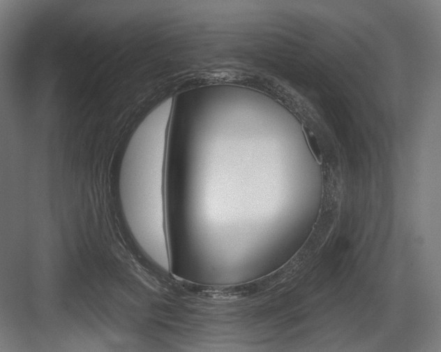 X0000083990601200702160732