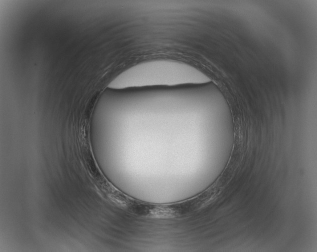 X0000083990603200702160732