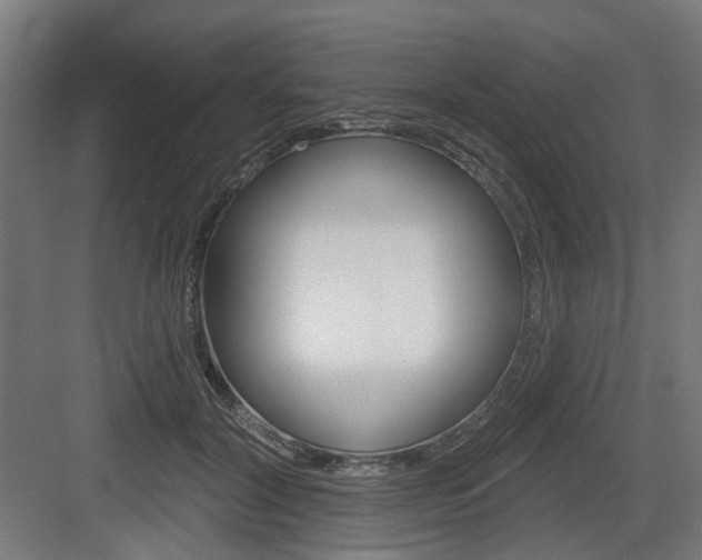 X0000083990604200702160732