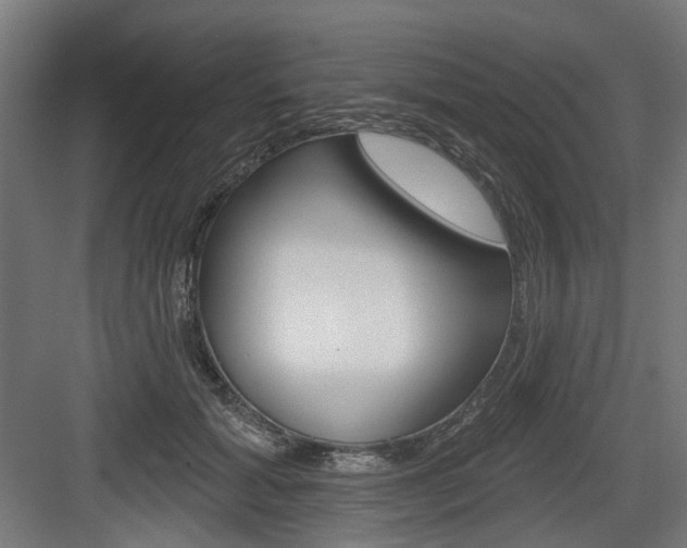 X0000083990605200702160732